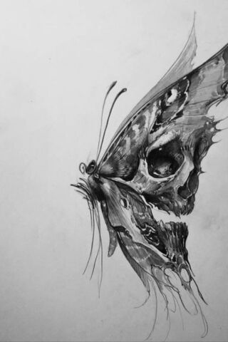 Ethereal Transformation..