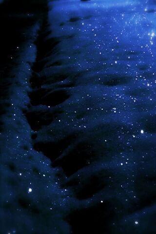 Mystical Night: The Enc..