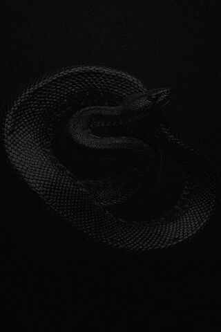 Black Mamba