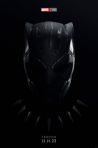 Black Panther: A Legacy Lives On 🐾✨
