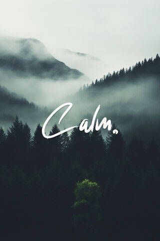 Embrace the Calm 🌲✨