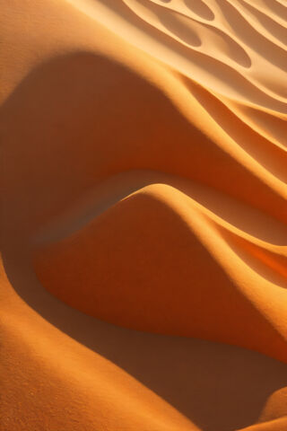 Whispers of the Desert:..