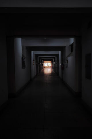 Journey Through Shadows