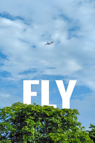 Soaring High! ✈️☁️