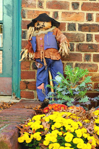 Autumn Vibes with a Fri..