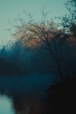 Tranquil Morning Mist 🌅