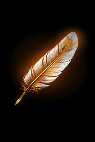 Feather On Black Background and Golden Vibe