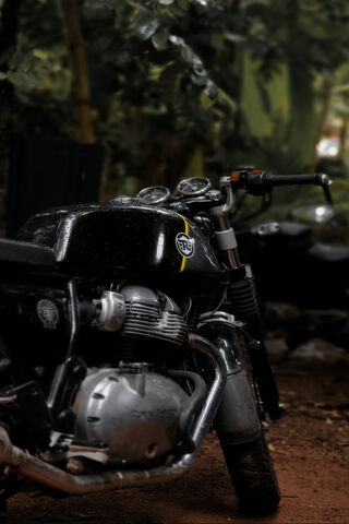GT 650