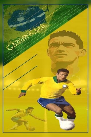 The Magic of Garrincha ..