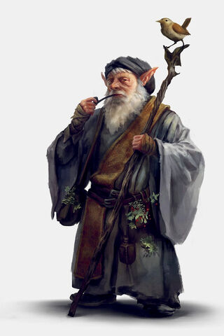 Wise Old Sage with a Bird Companion 🧙‍♂️🐦