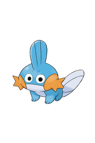 Meet Mudkip! 🌊🐾