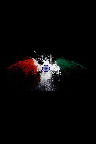Soaring Spirit of India..
