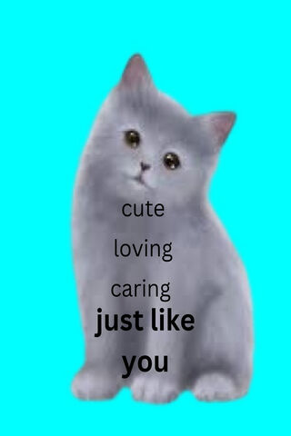 Adorable Gray Kitten wi..