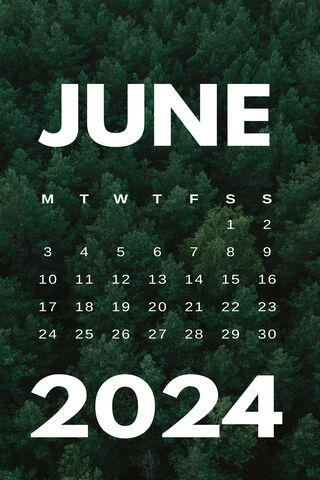 June 2024 Calendar 🌲📅