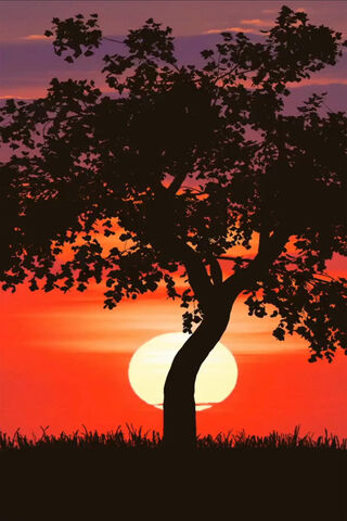 Life Of Tree