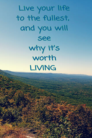 Live Your Life