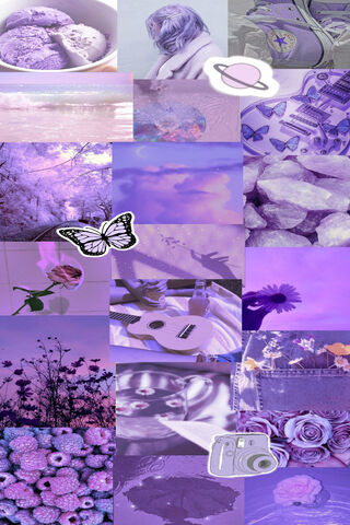Lilac Purple