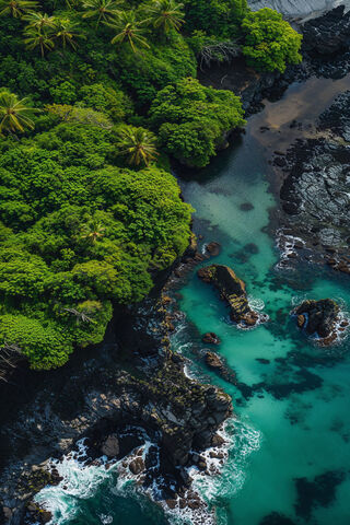 Tropical Paradise from ..