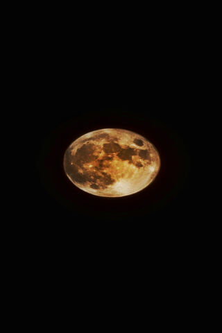 Enchanting Moonlit Nigh..