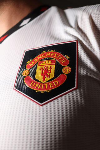 The Iconic Crest of Man..