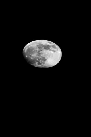 Enchanting Moonlit Nigh..