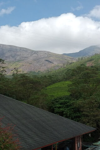Munnar's Majestic Greenery 🌿🏞️