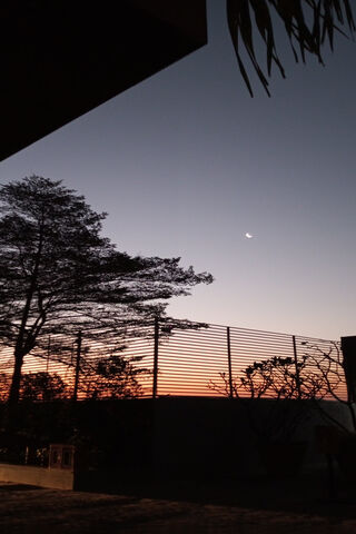 Serene Sunset 🌅🌙