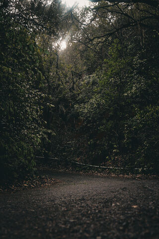 Nature