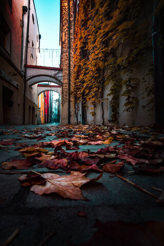 Autumn Alleyway 🍂✨