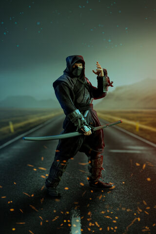 Ninja Warrior on the Ro..