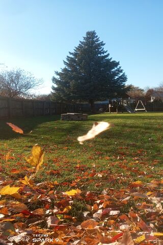 Autumn Serenity 🍂🌳