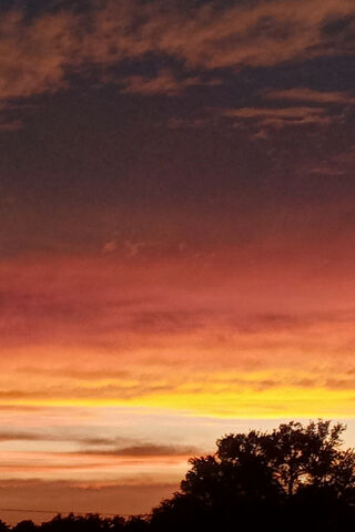 Breathtaking Sunset 🌅
