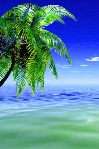 Palm Tree Ocean