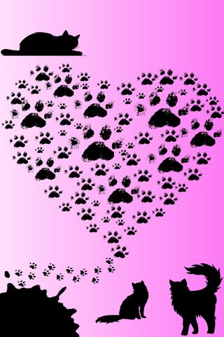 Pawsitively Purrfect Lo..
