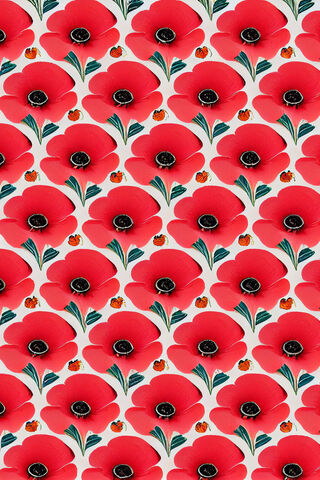 Poppy Pattern
