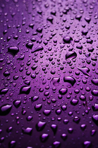 Raindrops On Purple