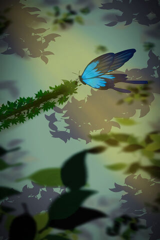 Sun Kissed Butterfly