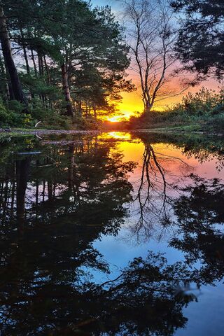 Sunrise In Dorset