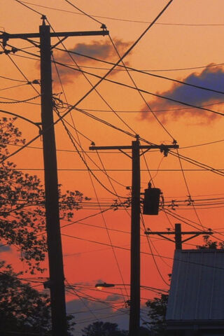 Sunset Silhouettes 🌅