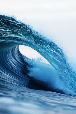 Sea Tail