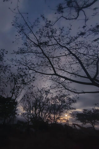 Twilight Serenity 🌅🌳