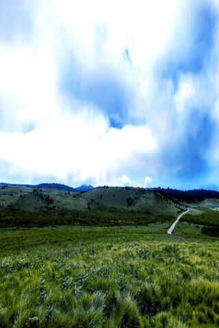 Sky Beauty