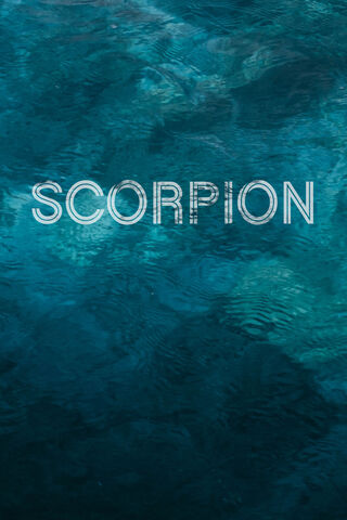 Dive into the Depths: S..