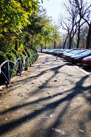 Autumn Stroll in the Park 🍂🚶‍♂️