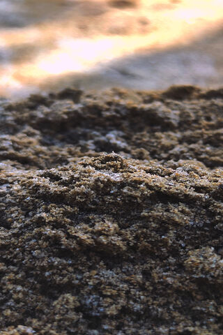 Nature's Textured Canva..