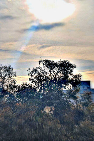 Whispers of Nature: A T..