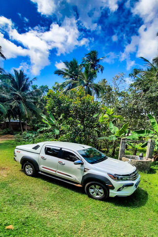 Adventure Awaits! 🚗🌴