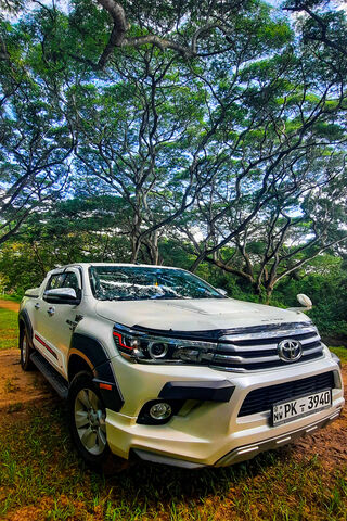 Adventure Awaits! 🚗🌳