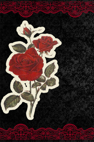 Elegant Red Roses 🌹✨