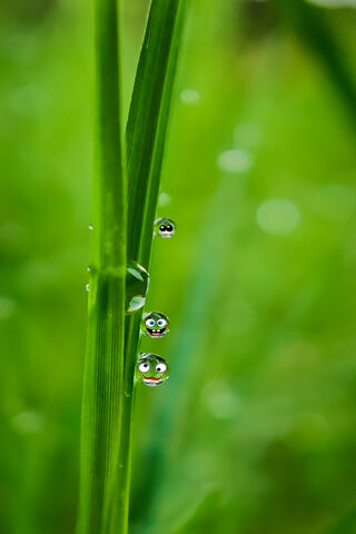 Water Drop Cartoon Men